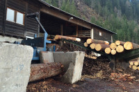 Sägewerk Ortner Abfaltersbach - Rundholzplatz