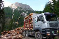 Sägewerk Ortner Abfaltersbach - Rundholz